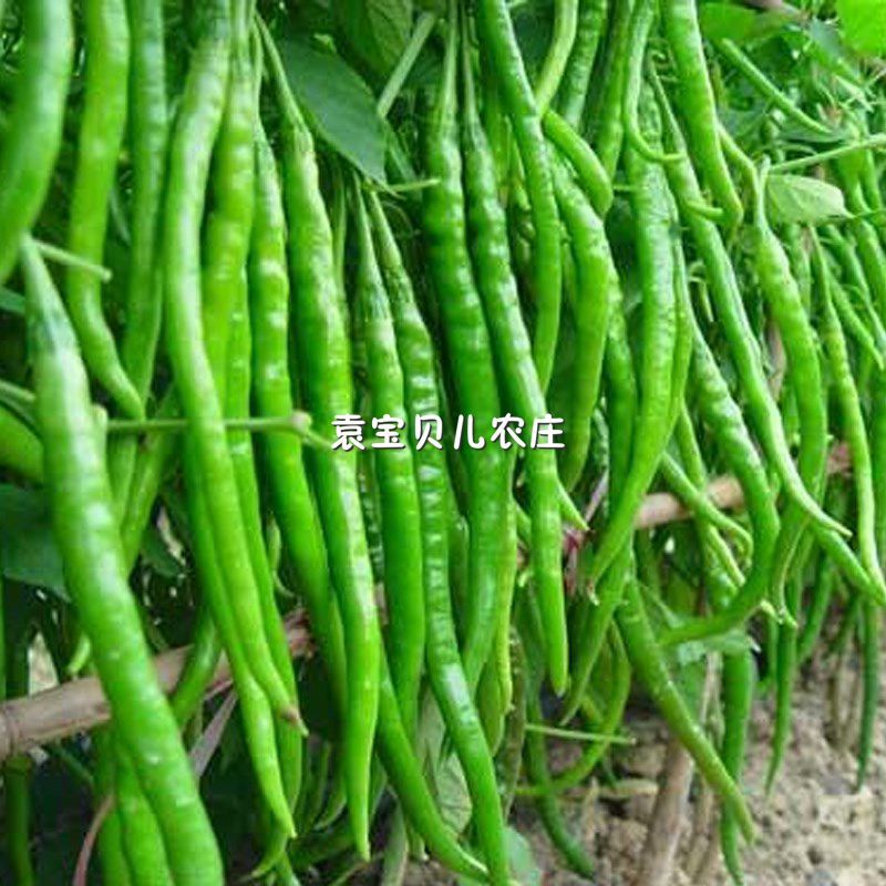 00d647fd-3f7a-41e3-ae50-5e65dc50da66.jpg