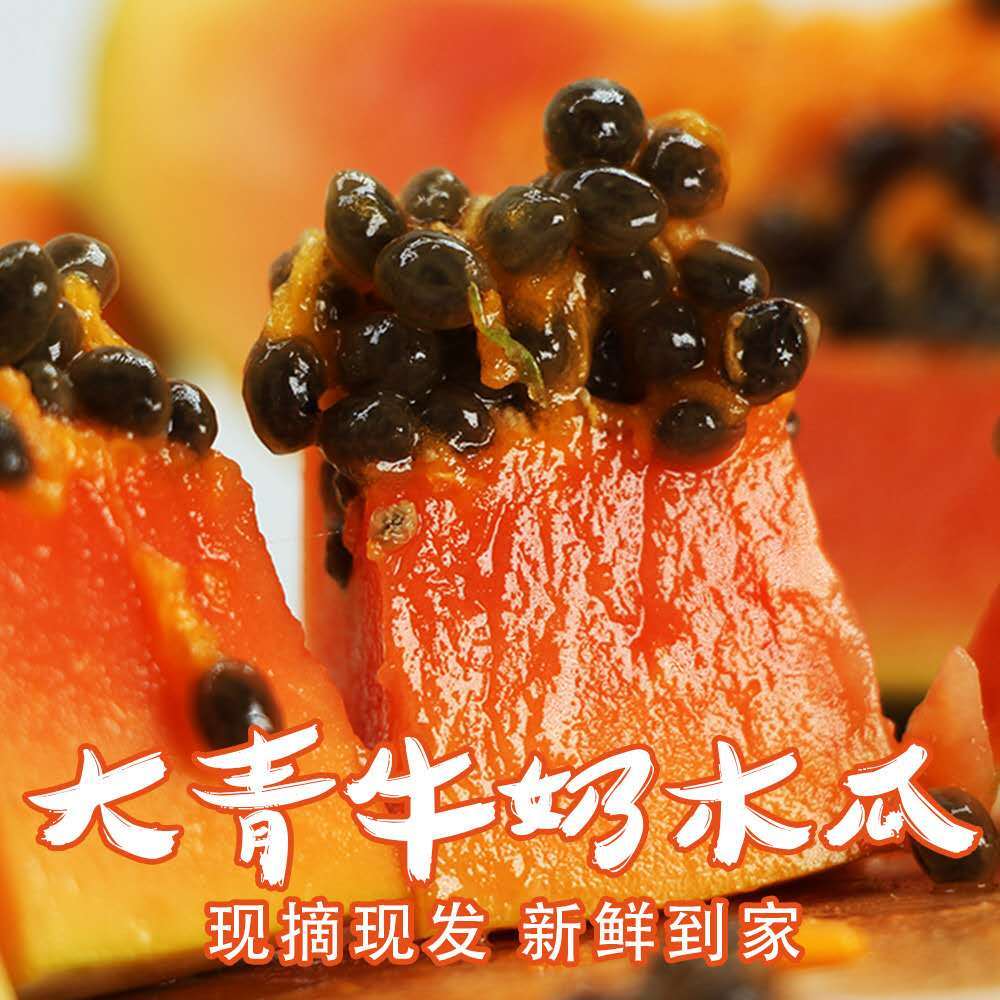 106137-(新店冲量)现摘现发云南特产红心牛奶木瓜丰胸5/10/3斤新鲜水果-详情图