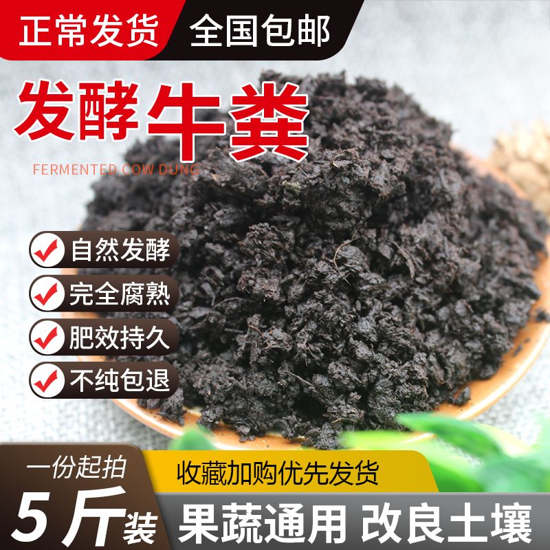 6bfaa731-6c2c-474b-93a8-235ababc0e09.jpg