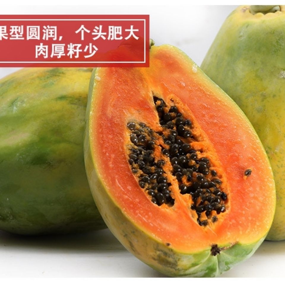 106137-(新店冲量)现摘现发云南特产红心牛奶木瓜丰胸5/10/3斤新鲜水果-详情图