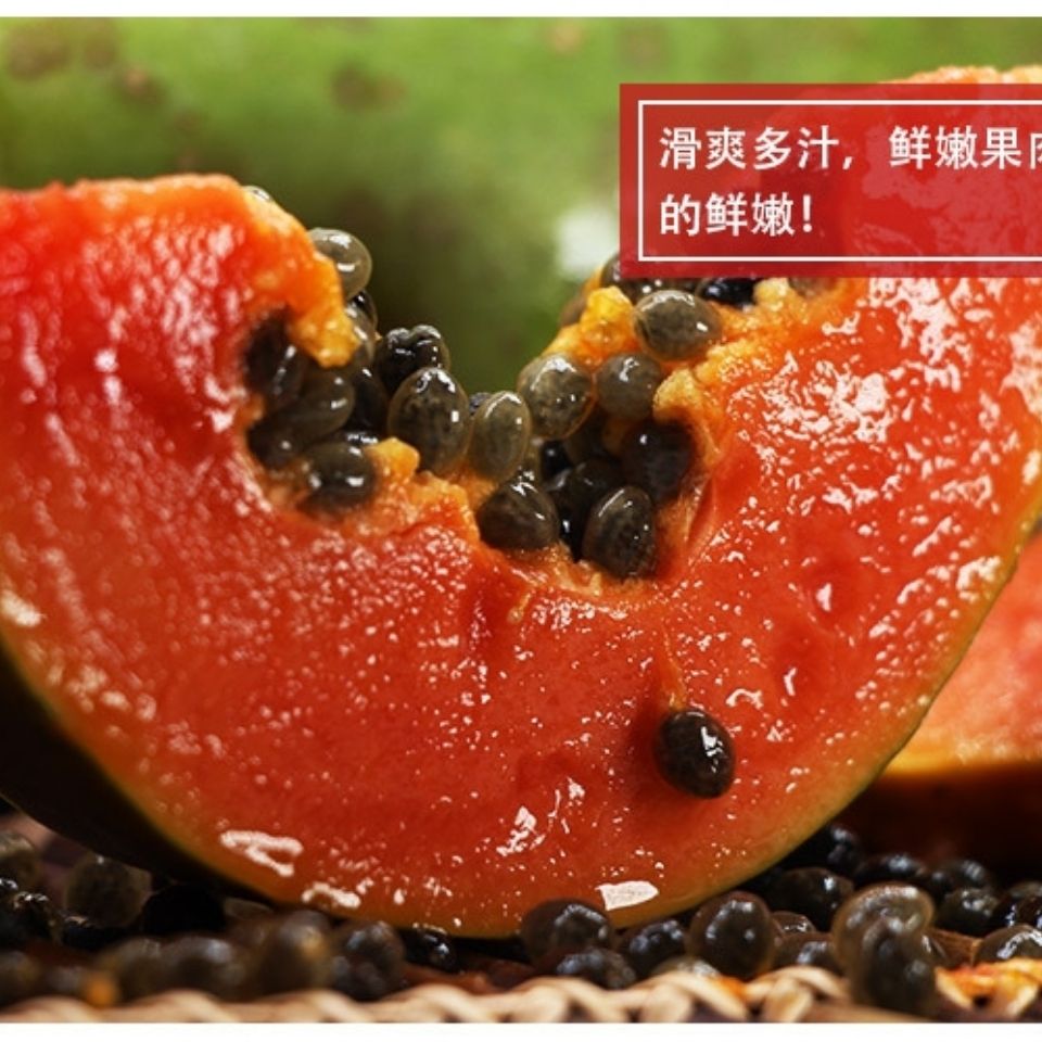 106137-(新店冲量)现摘现发云南特产红心牛奶木瓜丰胸5/10/3斤新鲜水果-详情图
