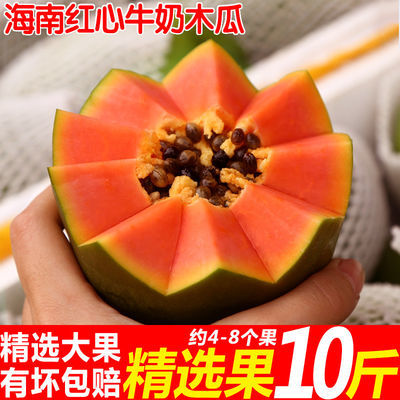 76376/现摘海南红心木瓜时令新鲜水果青木瓜当季牛奶木瓜非雷州冰糖木瓜