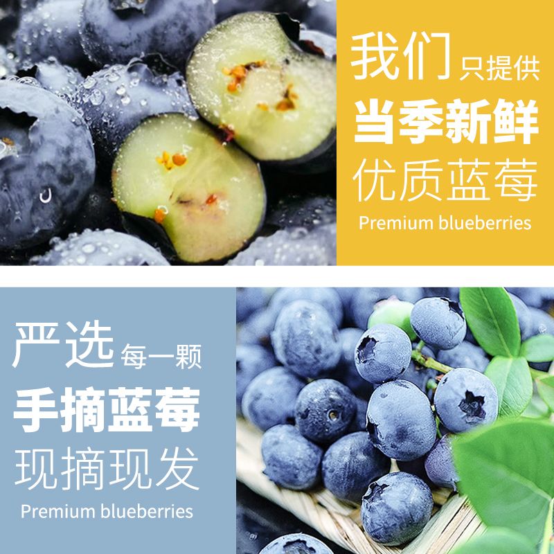 7d159cd9-e71a-4e64-9a19-ad4f6019895a.jpg
