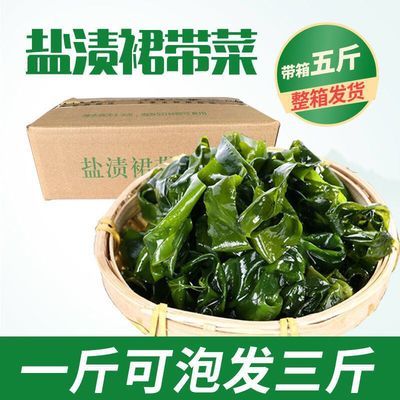海白菜海带海藻裙带菜凉拌盐渍裙带菜多规格1斤5斤整箱盐渍海带