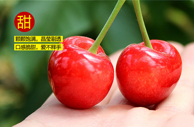 d1b78dce-5a45-4888-b8da-bf6384f94dba.jpg