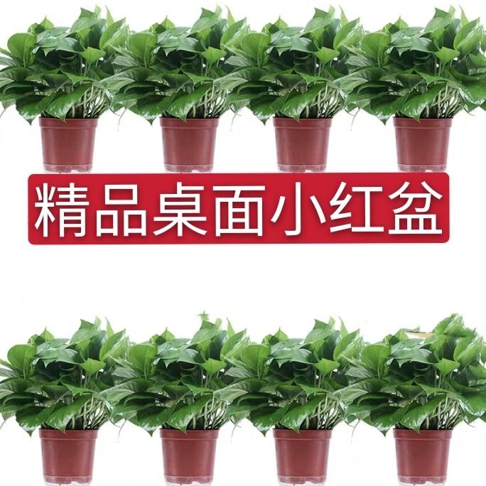 d25ae2bf-4854-4842-8b75-0590f5aa8964.jpg
