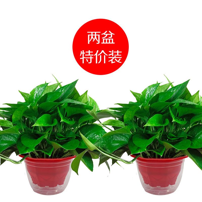 e1745656-1474-4a4a-a16a-f3ec0b5dcc67.jpg