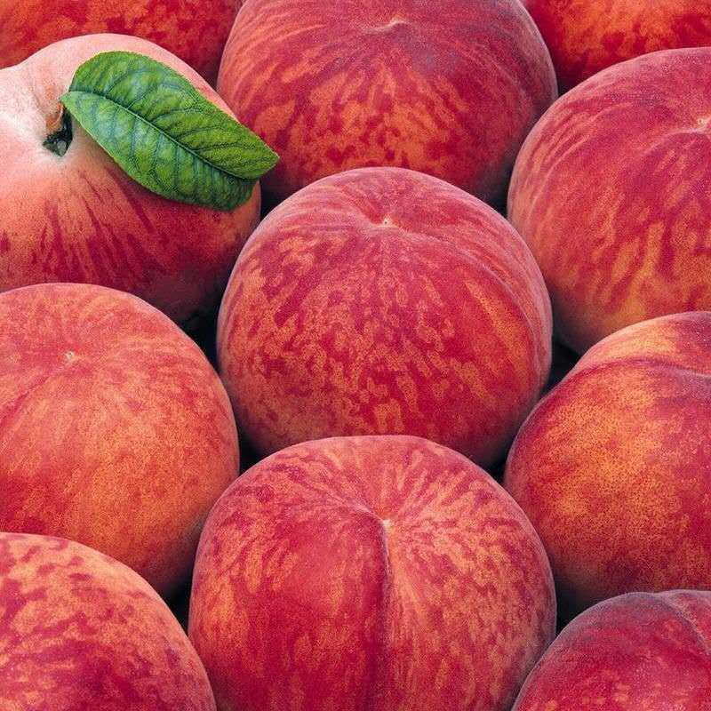 桃子怎么做好吃的 259cc07f-58db-4756-9523-dbb4400d066c.jpg