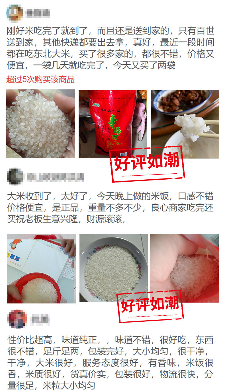 秋收新米20斤5斤稻花香10斤装小农粘香江大米农家圆粒珍珠米