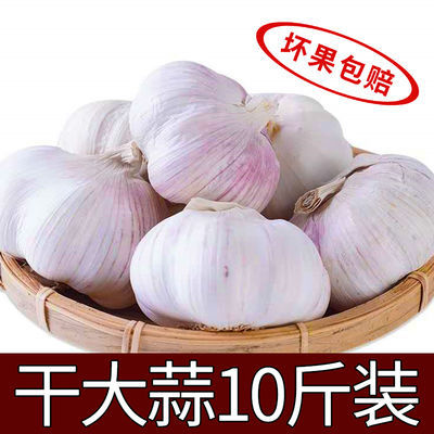 新晒干蒜【坏果包赔】2/5/10斤装干蒜大蒜头紫白皮蒜新鲜蔬菜批发