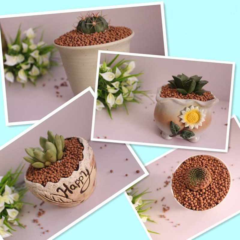 多肉专用颗粒营养土陶化多元土花卉植物通用铺面石肉肉土壤活力土