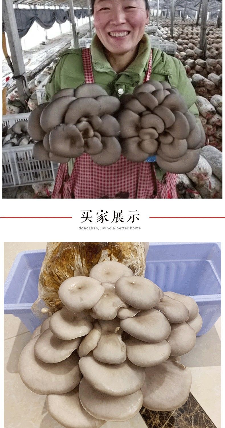 怎么种植蘑菇教程 29673957-bcc2-49a3-a849-5078b1901742.jpg