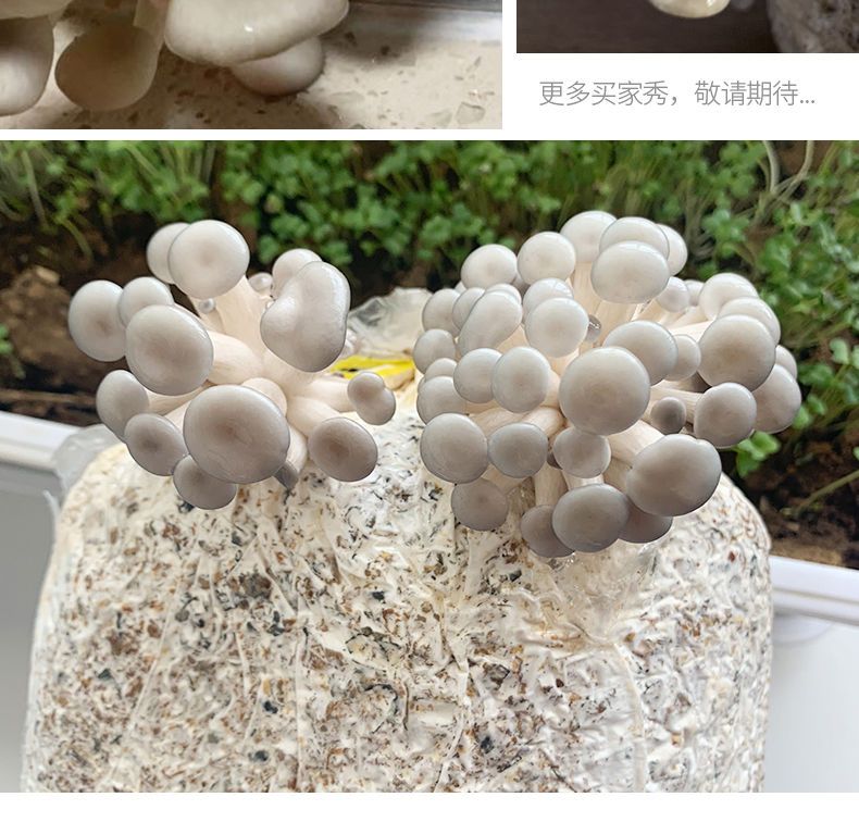330c4db8-bd1f-458f-9c73-96c17fdf8ada.jpg
