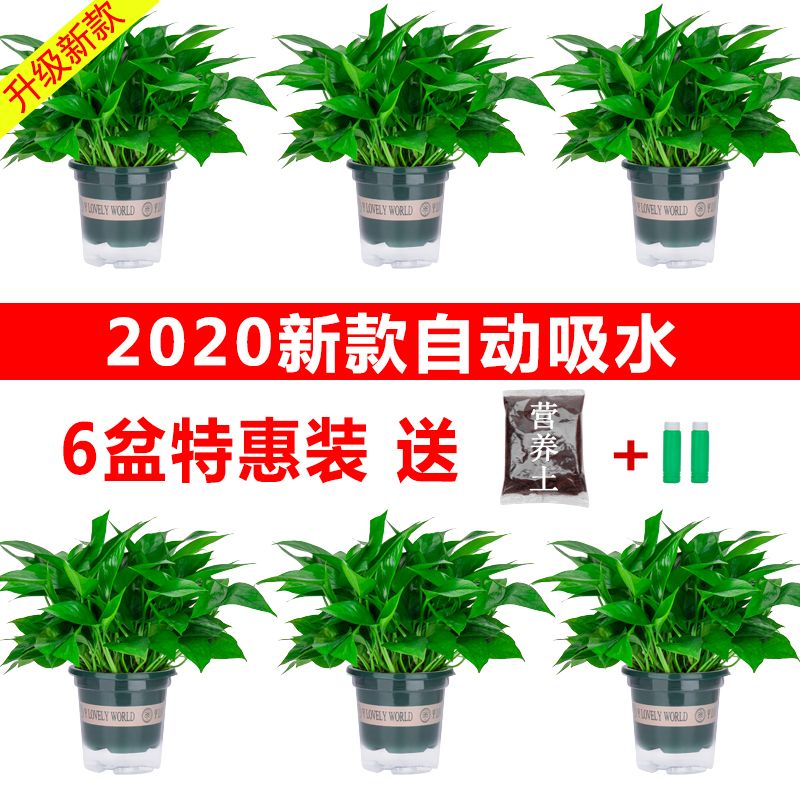 c6465042a09cd73d7dc3965ab20c3361.jpeg