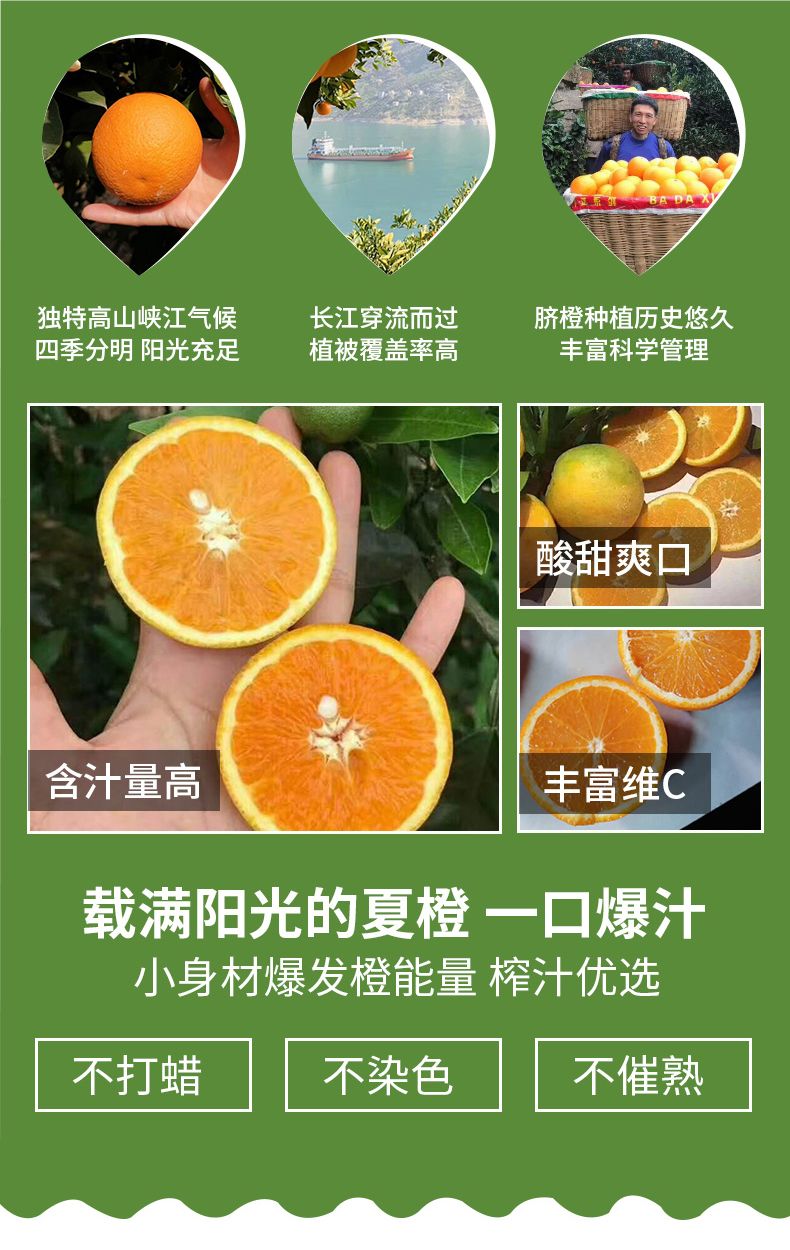 橙橙橙橙橙橙x 1da2290c-234d-4916-9967-c6bfc256a41c.jpg