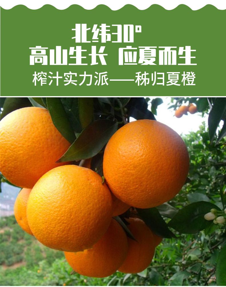 3cb29ddd-d8bc-45aa-b34c-d194ffcb4923.jpg