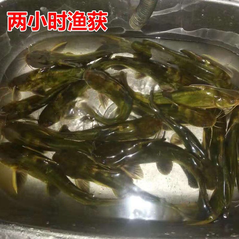 518da3b8-376d-4c66-a005-4180bf538d5d.jpg