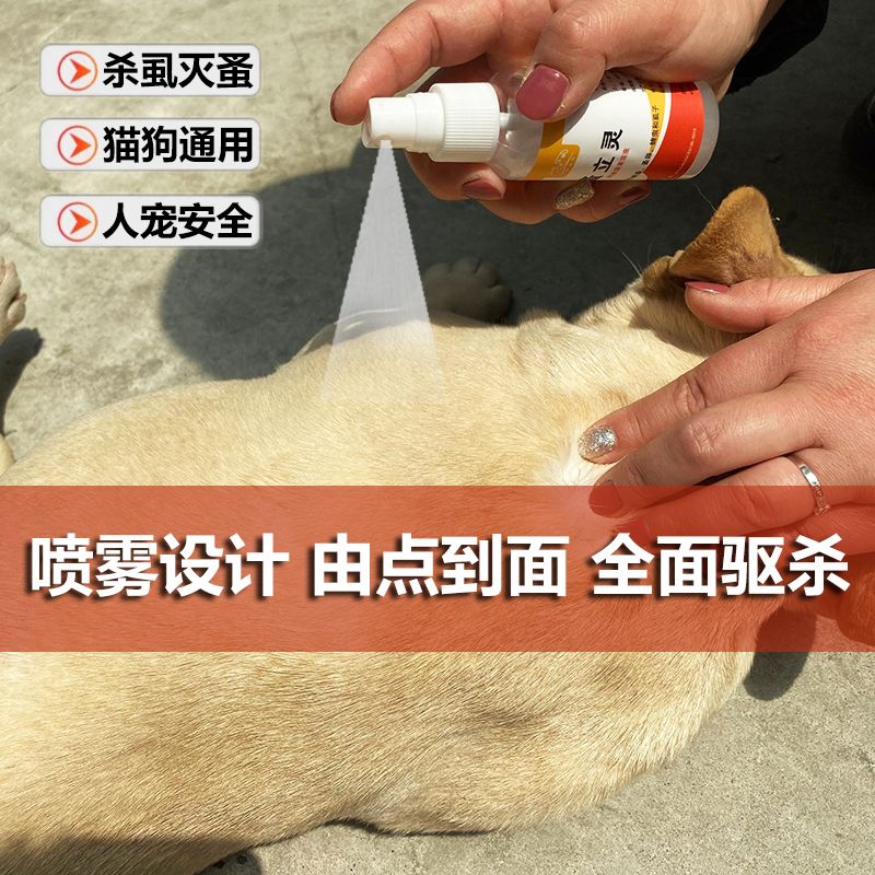 3944b233-02fe-4cf8-b85f-d2abb53b23db.jpg