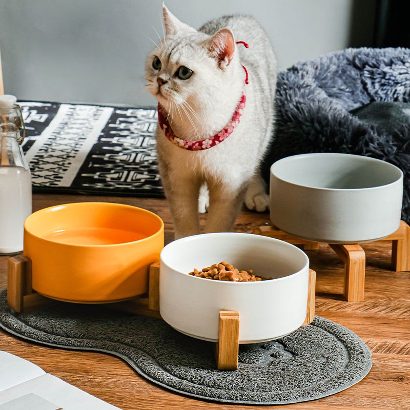 Cat bowl cat ceramic bowl dog bowl protect cervical vertebra cat food bowl pet products prevent dog drinking bowl