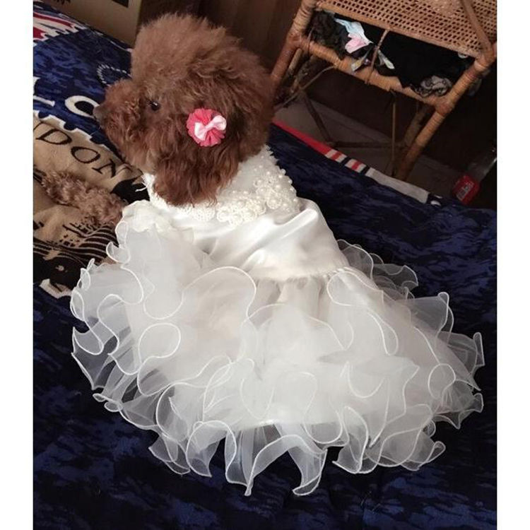 狗狗衣服春秋小型犬薄款泰迪比熊公主裙婚纱礼服批发猫衣服防掉毛