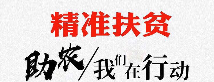 四川四季新鲜黄葱头种子盆栽小葱头火葱洋葱油葱小香葱头红葱头农