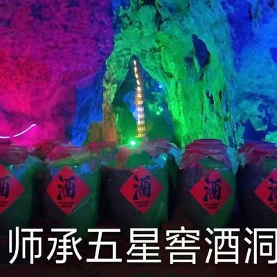 (六瓶装)师承负氧洞藏恒温酒库(红色经典爆款)