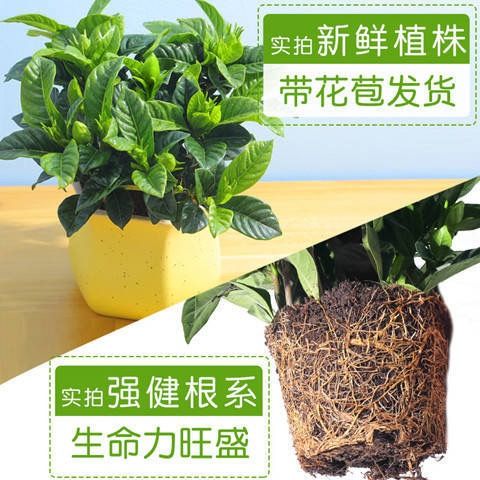 18c814ae-11e4-4d6d-b92b-0aa4a4d00a59.jpg