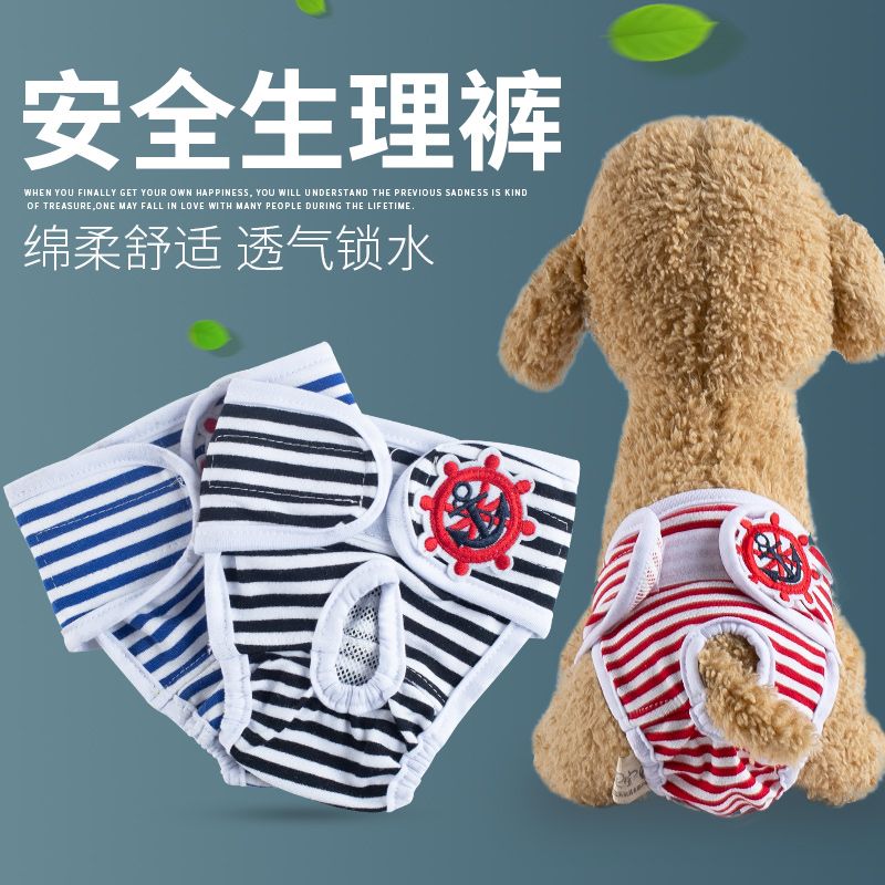 Dog Physiological Pants Teddy Safety and Health Pants Menstrual Pants Mother Dog Physiological Supplies Aunt Pants Pet Anti Harassment