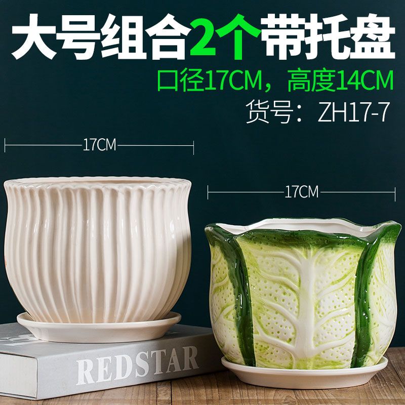 多肉小花盆托盘 58419a7a-67cd-4971-ab76-fb681b6134ef.jpg