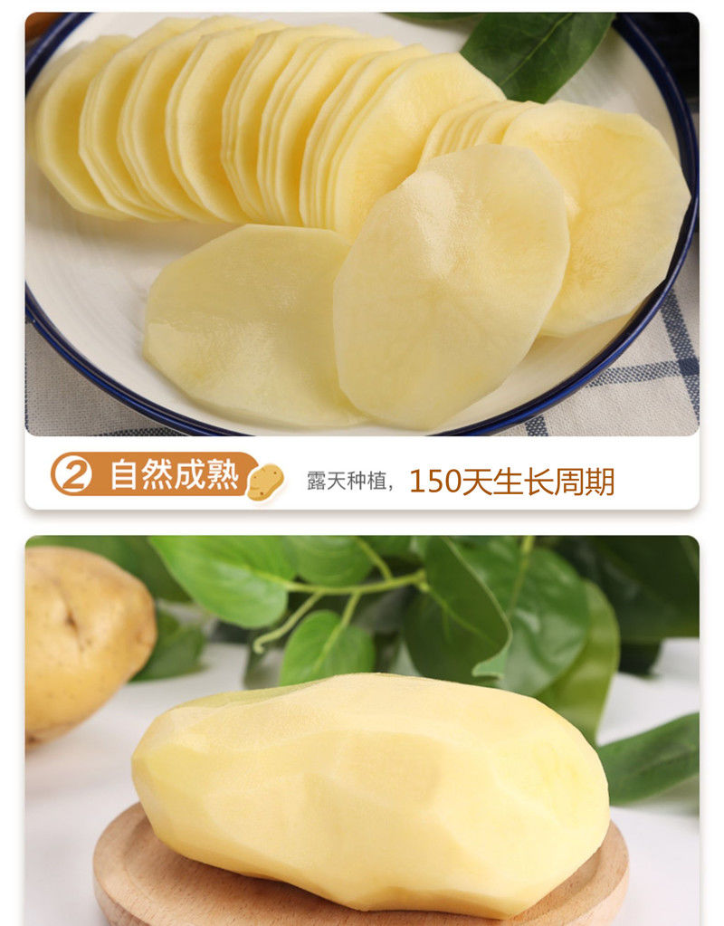 【怎么都好吃】精选新鲜土豆5/10斤包邮现挖马铃薯黄心土豆洋芋时令蔬菜新鲜L