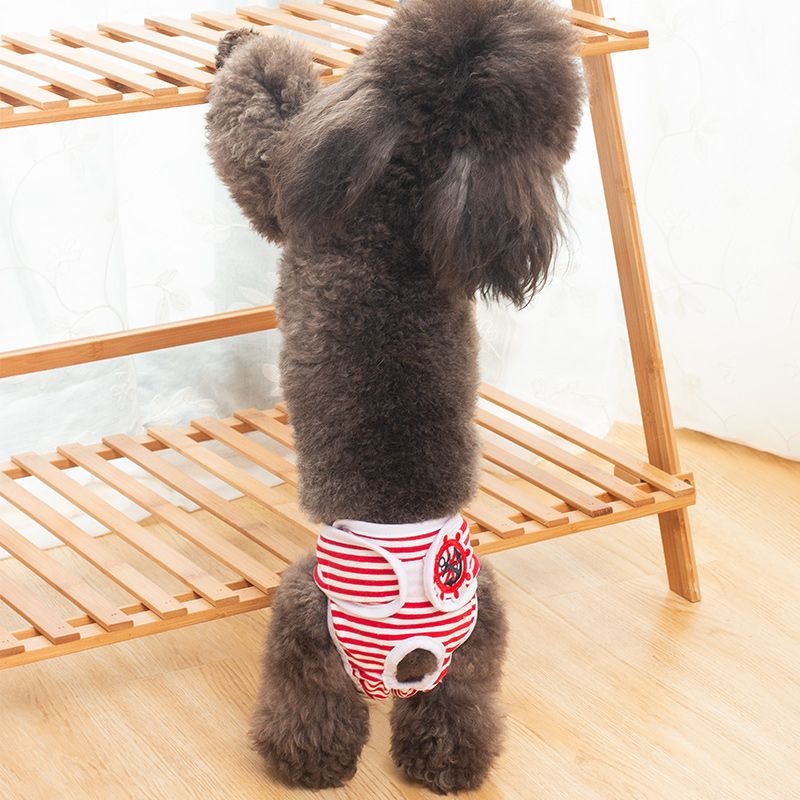 Dog Physiological Pants Teddy Safety and Health Pants Menstrual Pants Mother Dog Physiological Supplies Aunt Pants Pet Anti Harassment