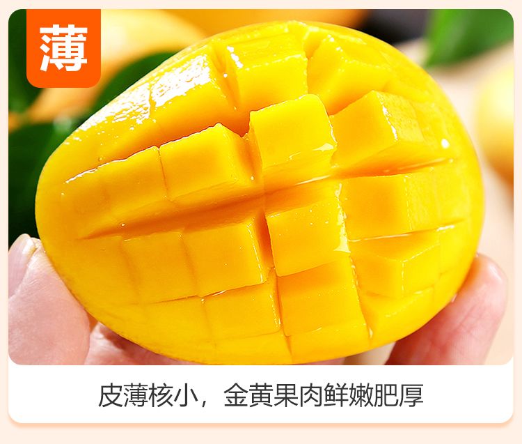 【果园现摘芒果】小台农芒果当季新鲜热带水果