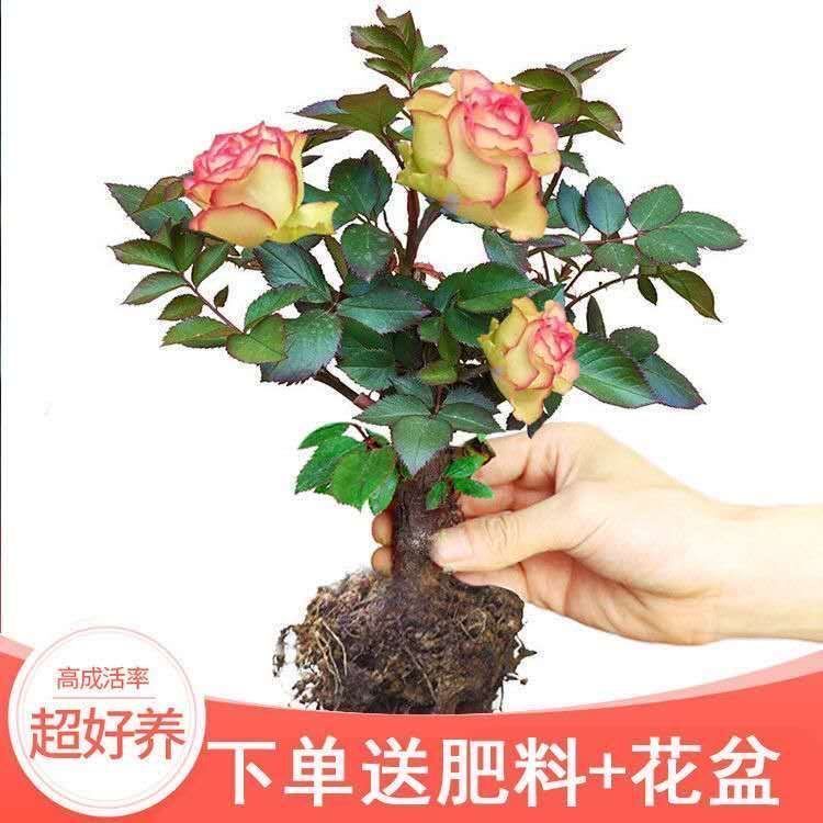 54773cb7-c53d-480e-8412-39cb4d5d7014.jpg