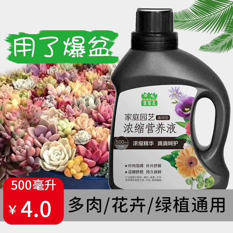 养花的肥料是什么肥料 635ab2e2-b71e-4843-8ed9-8052fac255ca.jpg