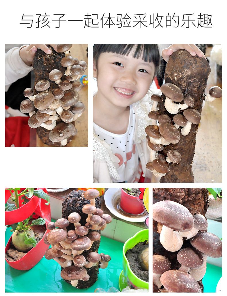 58bee465-be53-46fb-8999-5844a22b1730.jpg