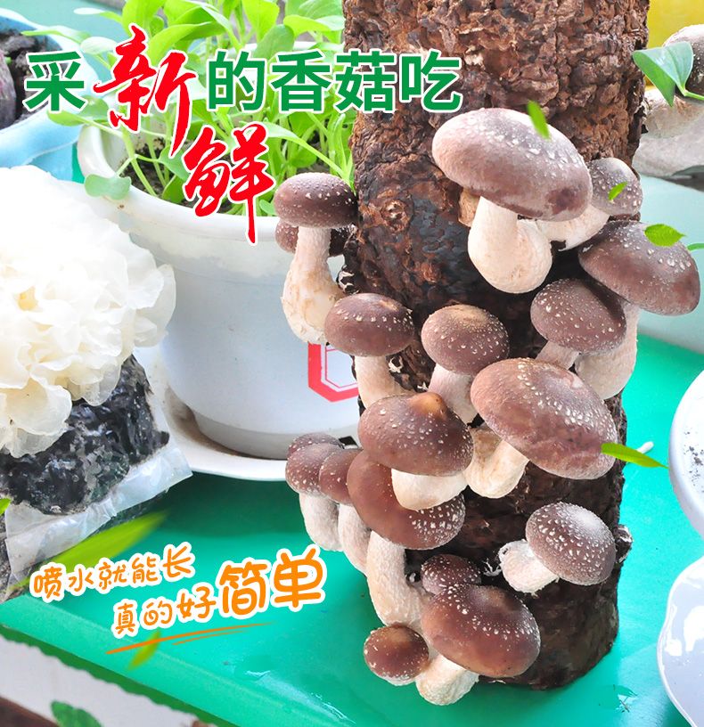 cb229eda-5a29-4e5e-b7aa-5126b187ffec.jpg