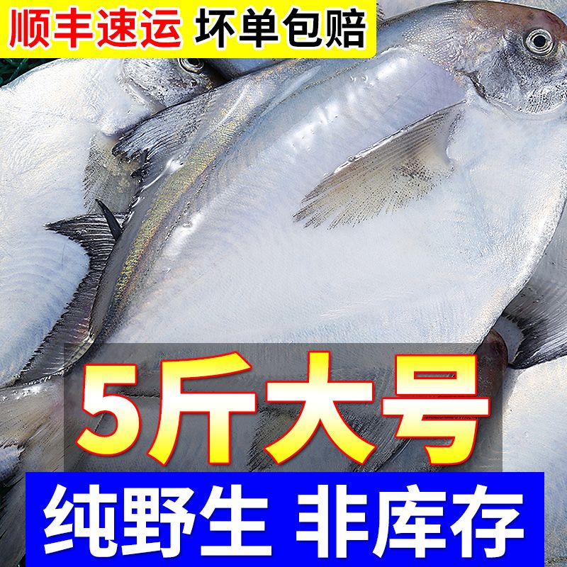 特价中】野生大银鲳鱼海鲜水产新鲜白鲳鱼鲜活冷冻海鱼平鱼批发_虎窝拼