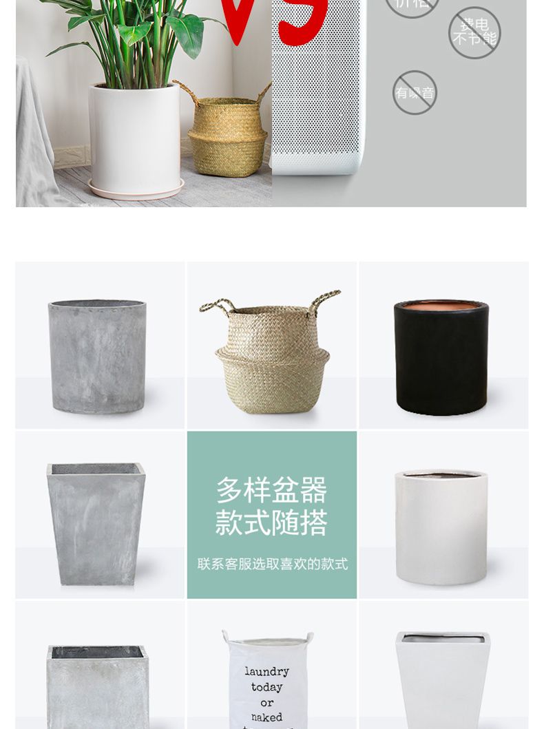 室内绿植推荐办公室大型绿植 8d76c796-4537-48f8-9c31-7a6b008a335e.jpg