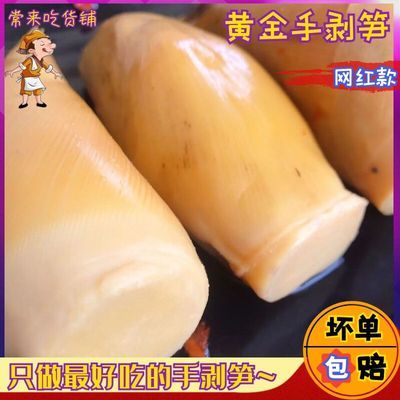 网红快手抖音同款黄金笋超大手拨笋马蹄笋冬笋即食泡椒香辣酸笋