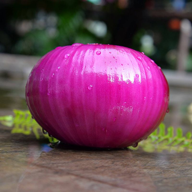 10斤紫皮洋葱批发5斤农家自种现挖圆葱红皮葱头洋葱 新鲜蔬菜包邮