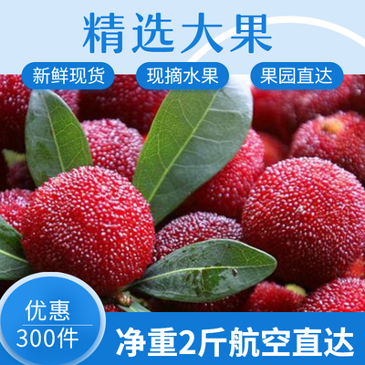 39600/【全国空运】云南高山杨梅新鲜特级硬丝东魁大杨梅当季现摘现发