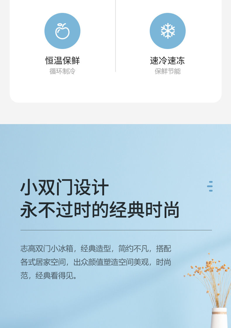 志.高双门小冰箱家用宿舍租房节能冷冻冷藏家庭冰箱G
