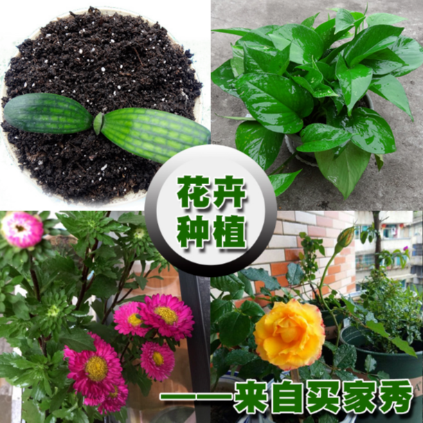6b79e49b-1f2b-42cd-94be-c272f4aeca24.png