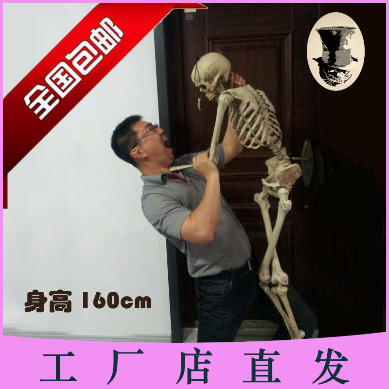 骷髅骨架道具万圣节用品鬼屋密室逃脱素描写生模型美术影视用具 虎窝拼