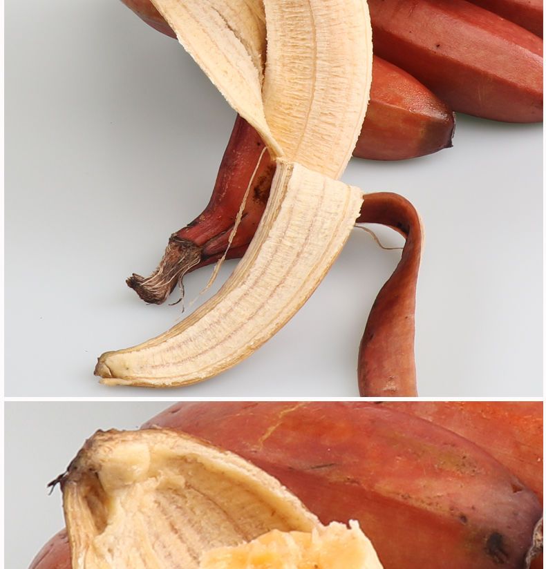 【福建土楼美人蕉5斤精品装】香蕉水果新鲜红皮香蕉批发红色香蕉【大牛美食】