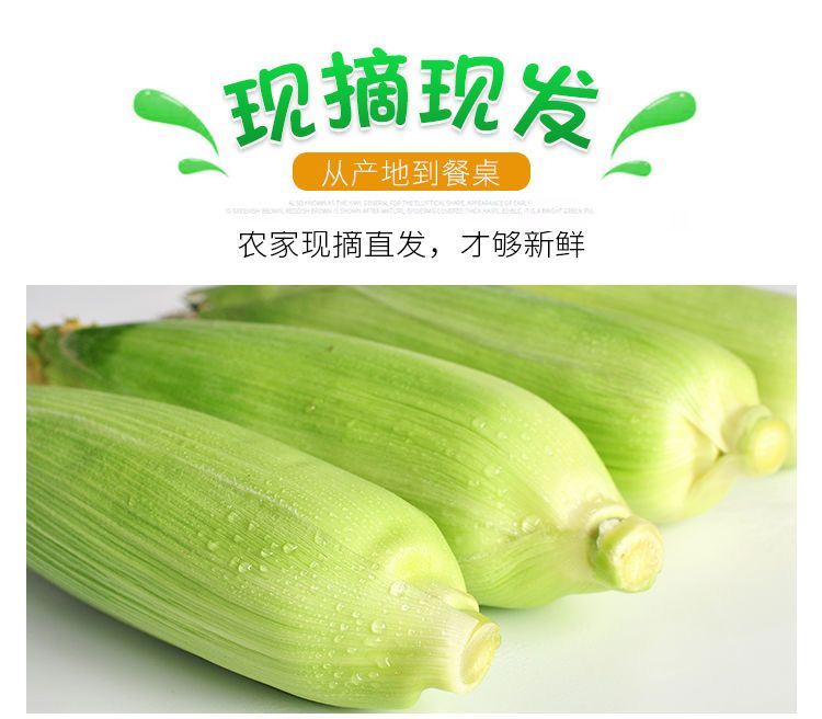 9d2ac1157783e66ccf7a23a8a1209061.jpeg