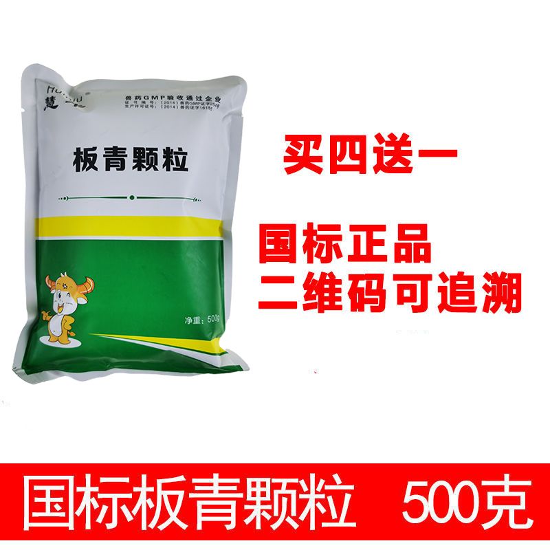 板蓝根在养猪当中的妙用，便宜实惠有大用！