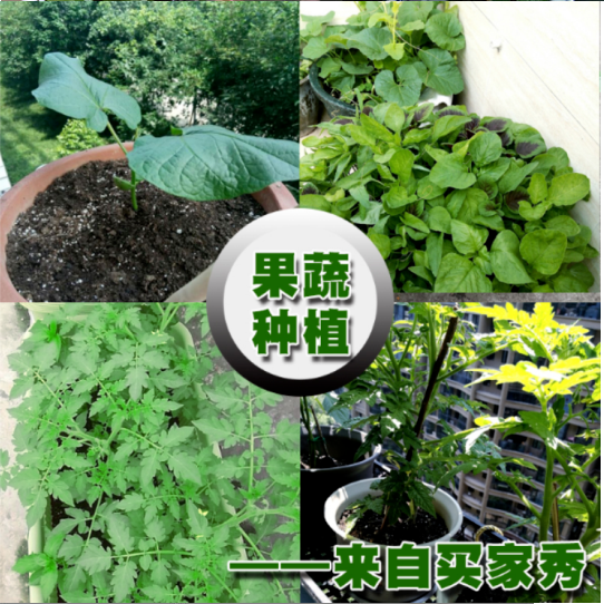 ade724c3-593f-4af8-9d20-8e8a115820ff.png
