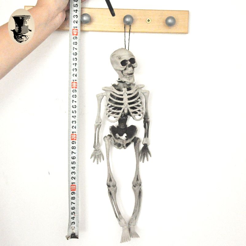 骷髅骨架道具万圣节用品鬼屋密室逃脱素描写生模型美术影视用具 虎窝拼
