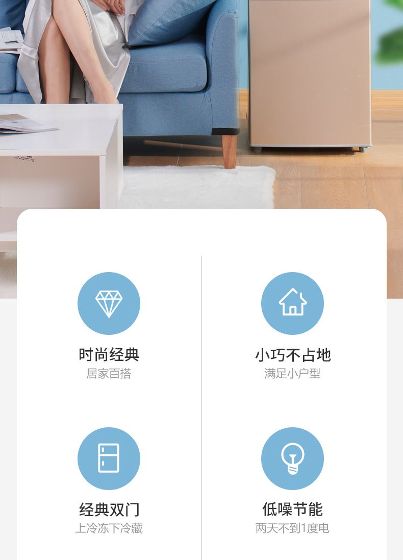 志.高双门小冰箱家用宿舍租房节能冷冻冷藏家庭冰箱G